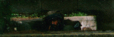 Photo: In the graveyard