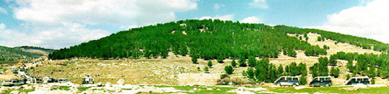 Photo: Abu Ghnaim mountain