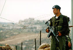 Photo: Another 'inciteful' image