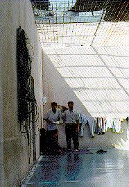 Photo: Some of the detainess in yet another discussion about possible developments with visiting student friends.