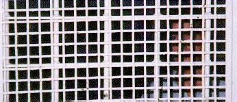 Photo: See caption below