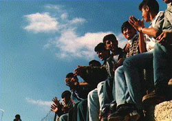 Photo: Boys sitting on a wall clapping