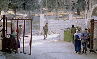 Photo: CPT members on patrol in Hebron