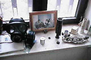 Digital Photo: The window ledge in my office.